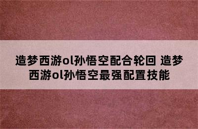 造梦西游ol孙悟空配合轮回 造梦西游ol孙悟空最强配置技能